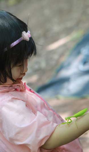 斯瑪特少兒美術(shù)教育加盟